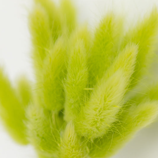 ELECTRIC GREEN BUNNY TAILS