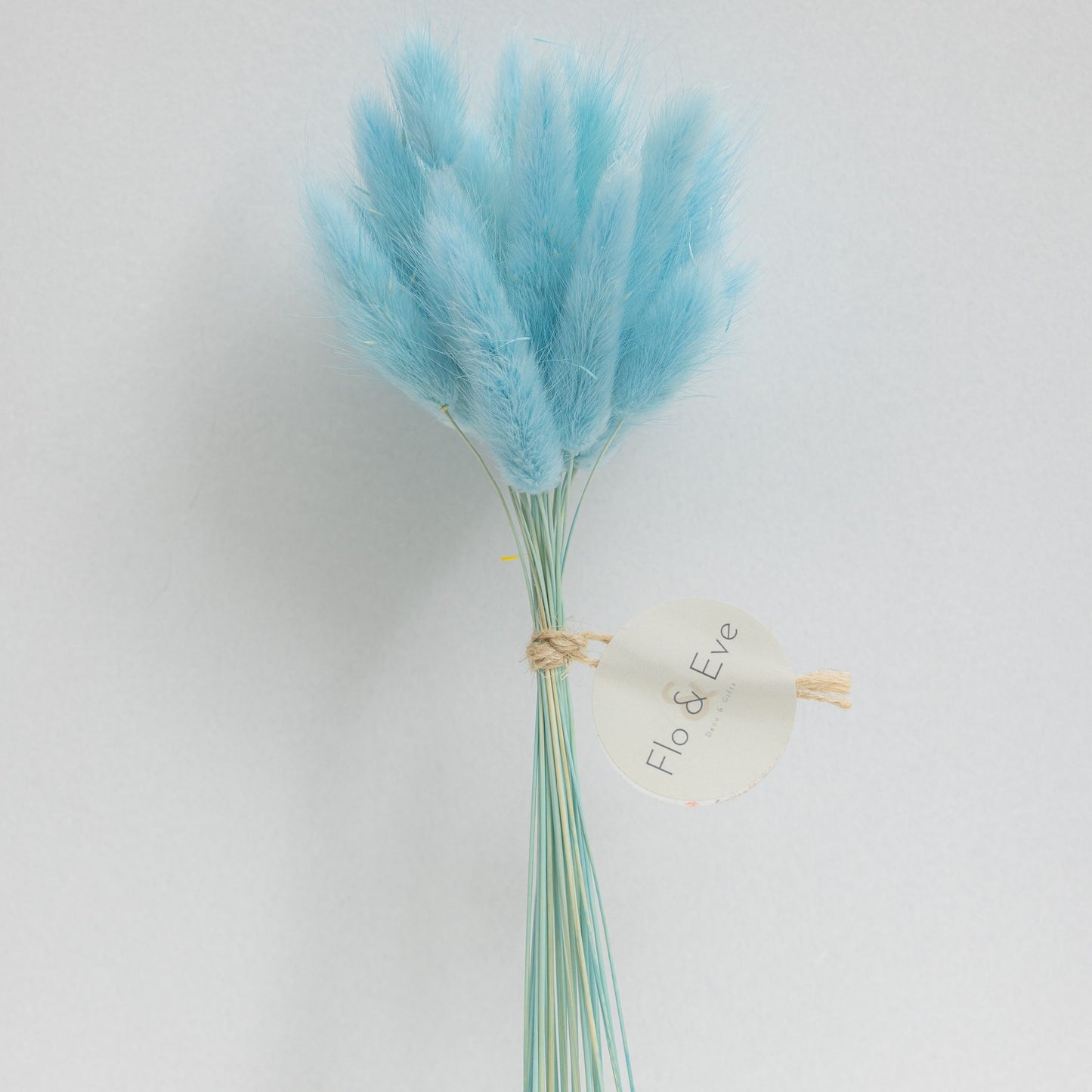 BRIGHT BLUE BUNNY TAILS