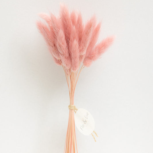 SOFT PINK BUNNY TAILS